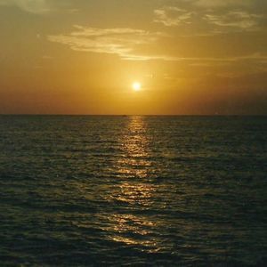 Meet your Posher, Bob